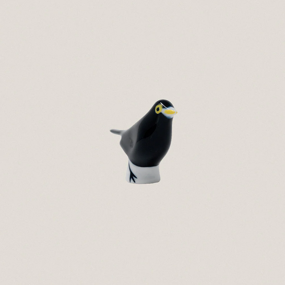 Blackbird