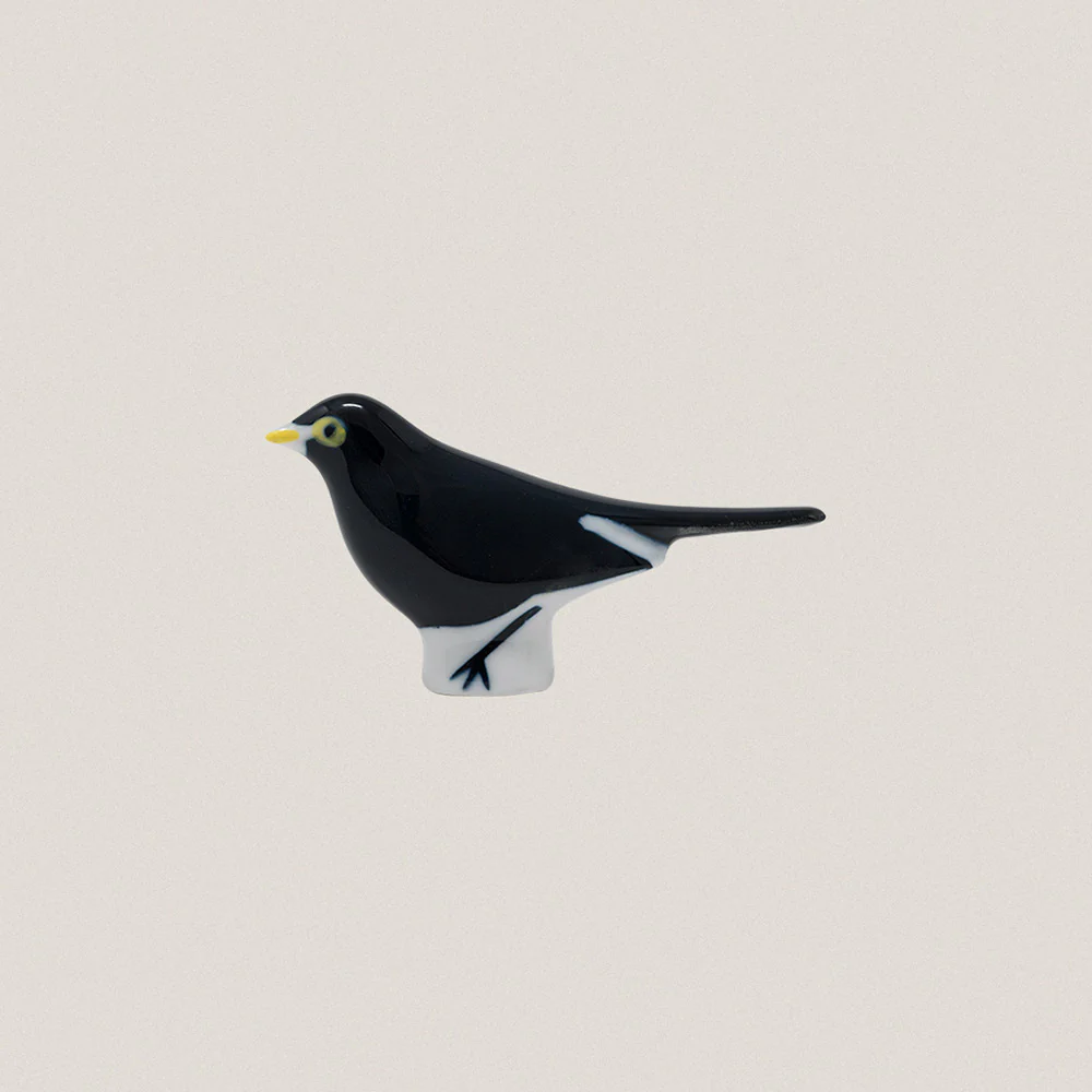 Blackbird - Image 2
