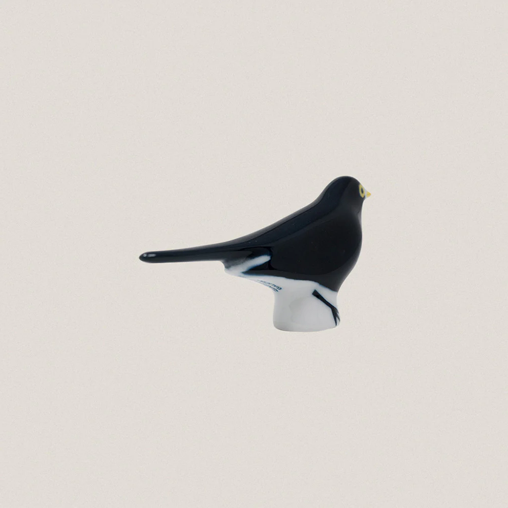 Blackbird - Image 3