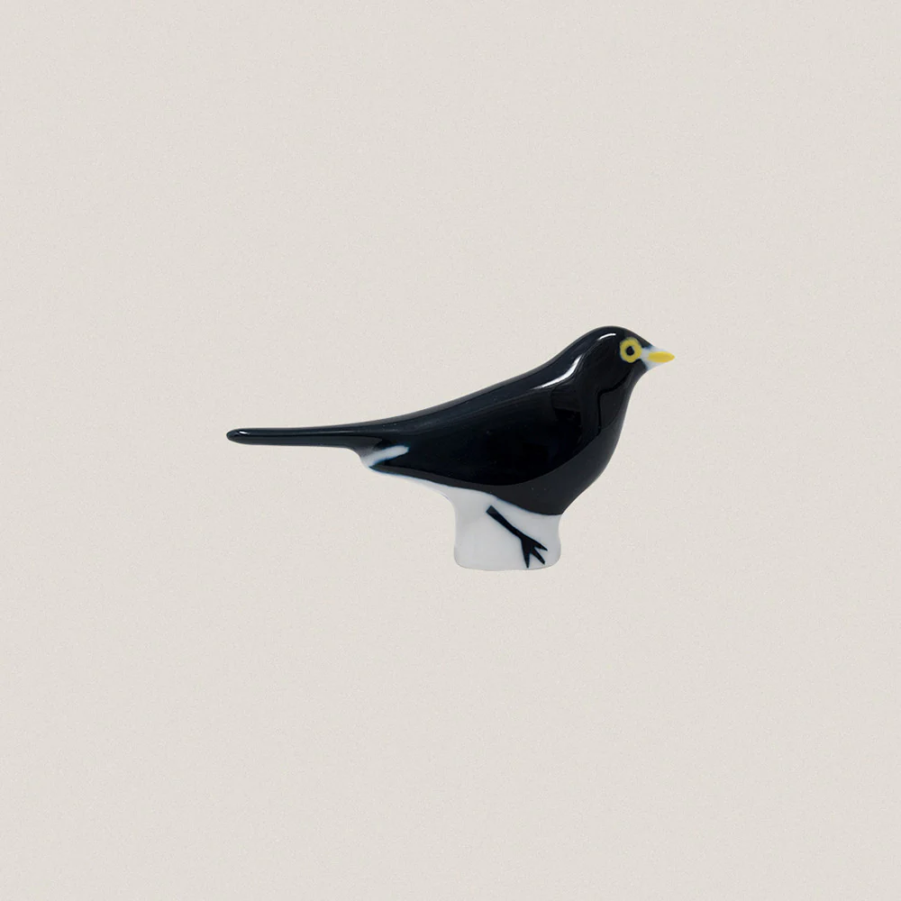 Blackbird - Image 5