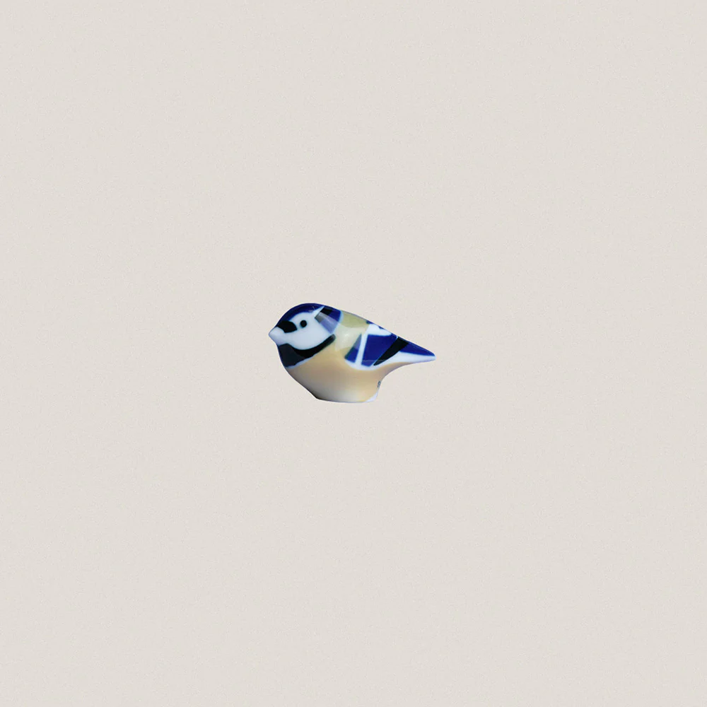 Blue Tit
