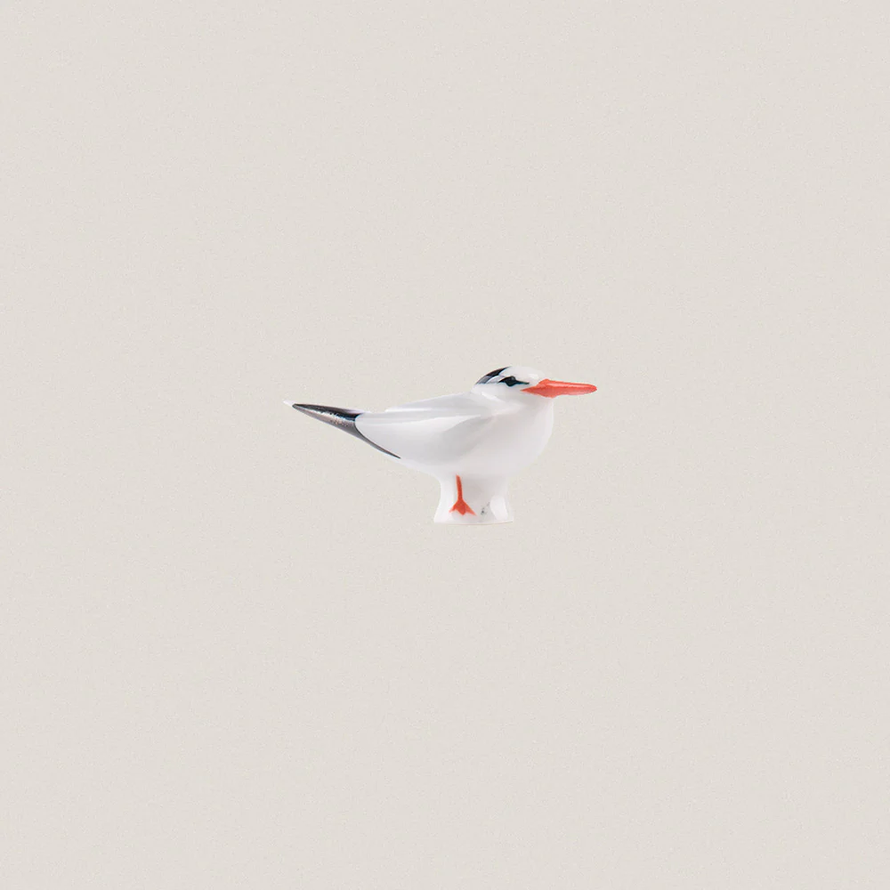 Common Tern