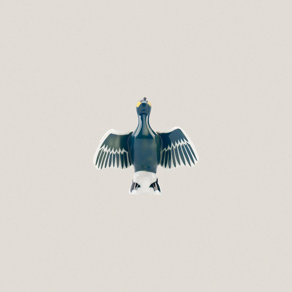 Crow Duck