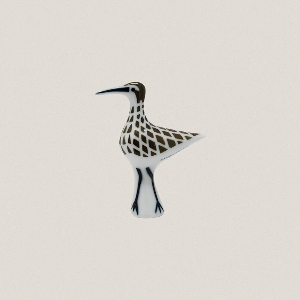 Curlew