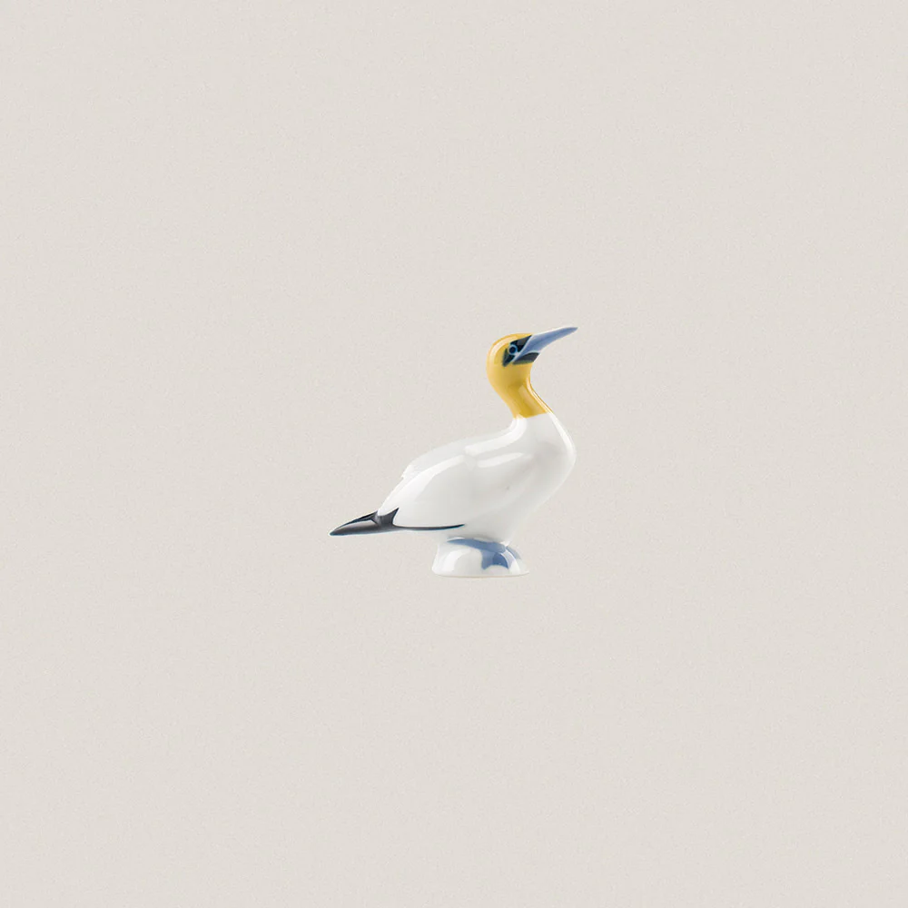 Gannet