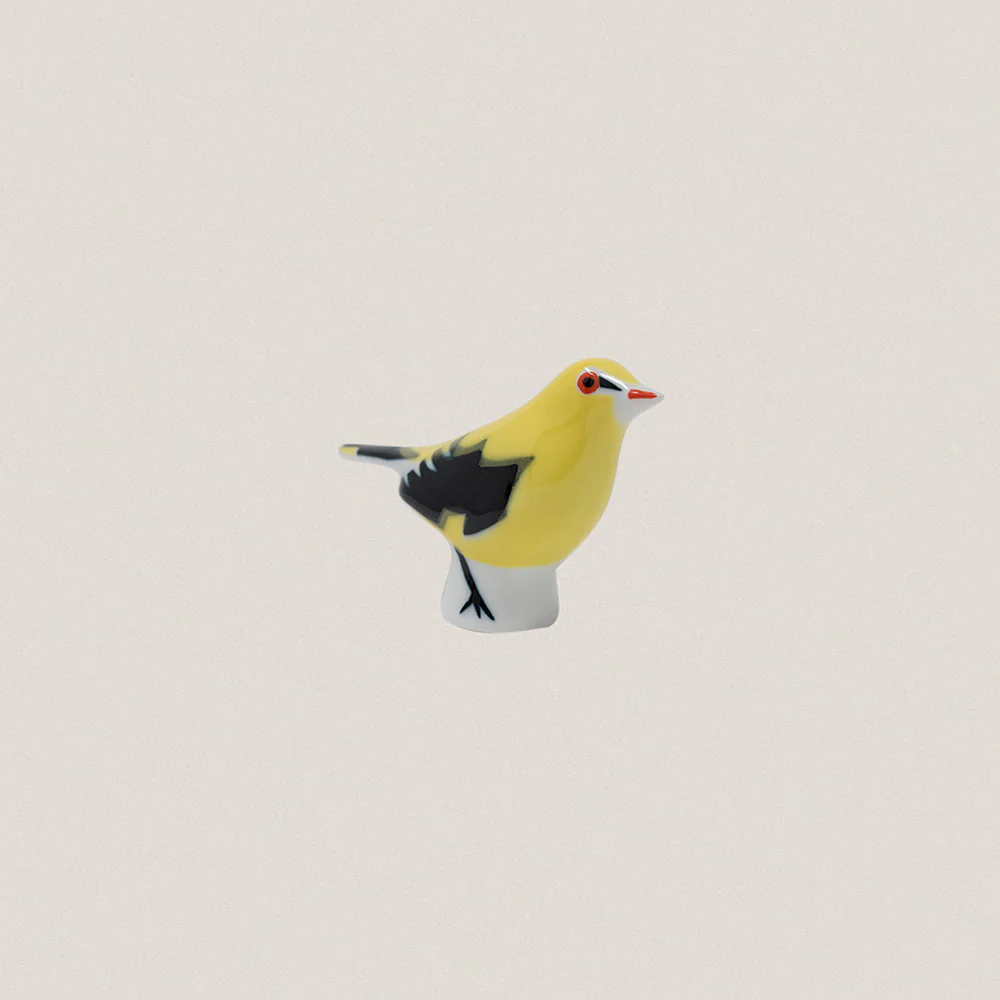 Golden Oriole