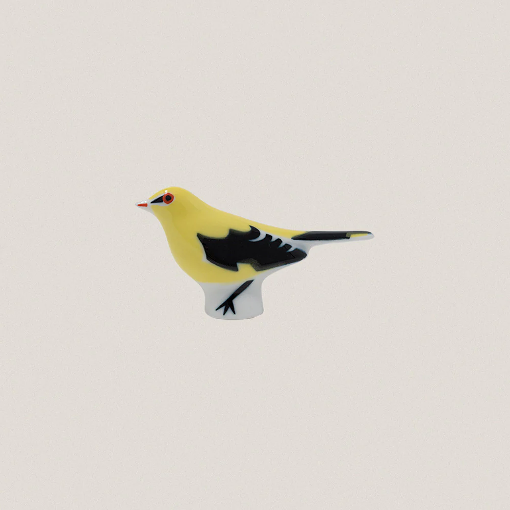 Golden Oriole - Image 2