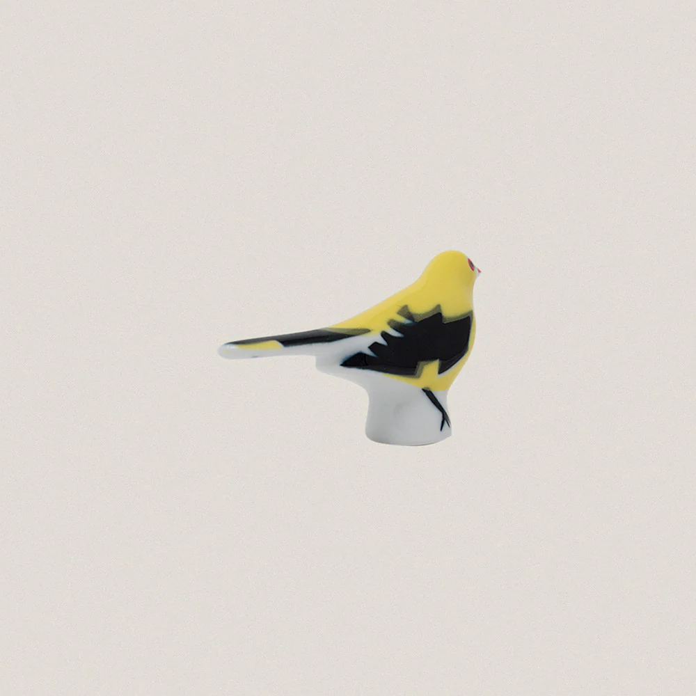 Golden Oriole - Image 3