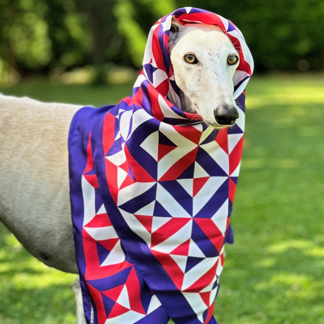 Monférico Red Silk Scarf - Image 3