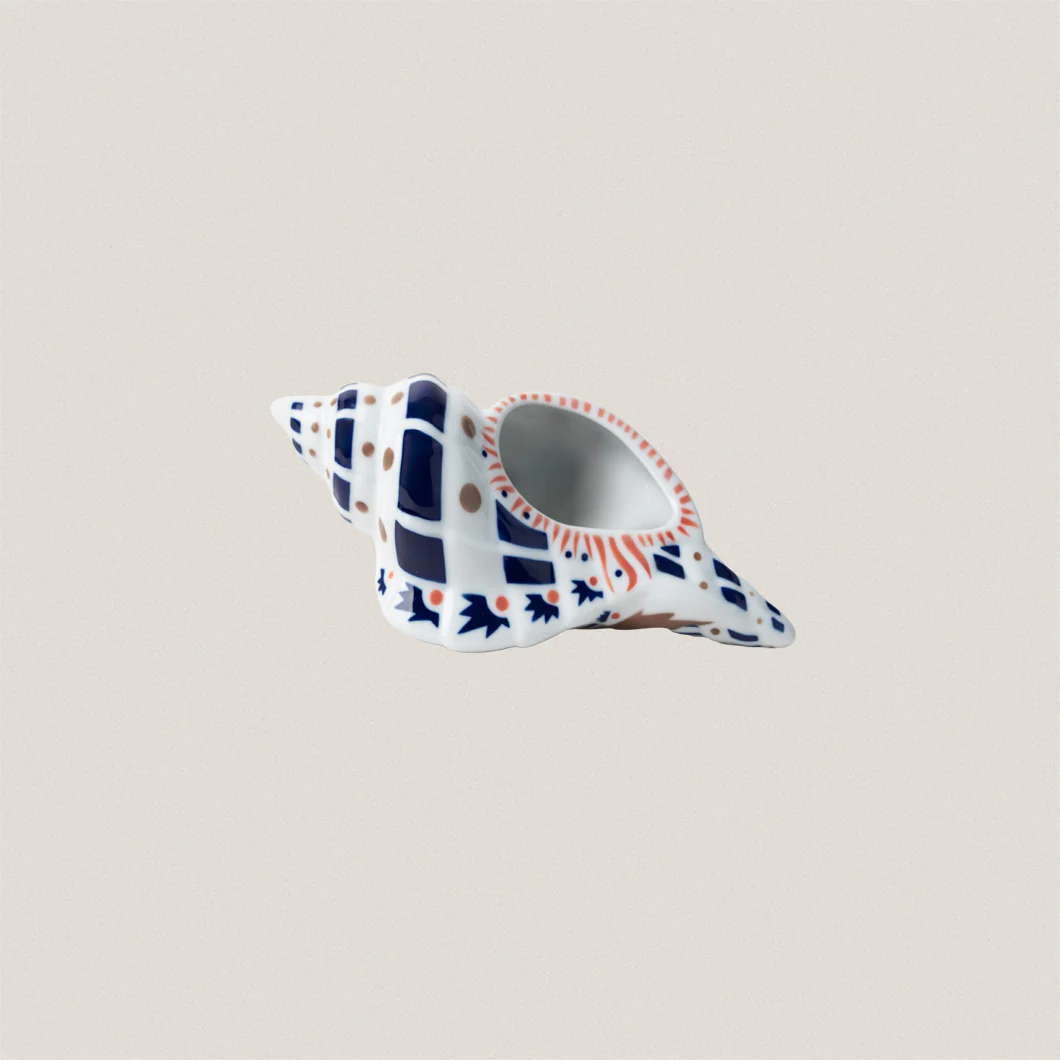 Queen Conch - Image 3