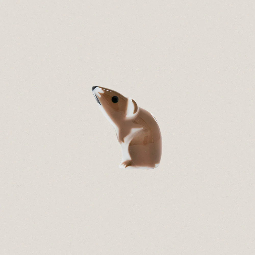 Rat