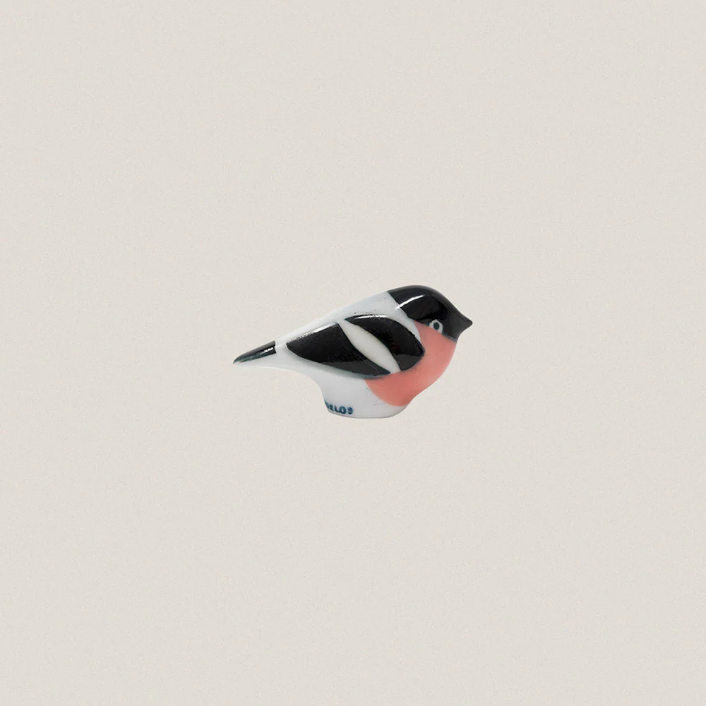 Real Robin - Image 4