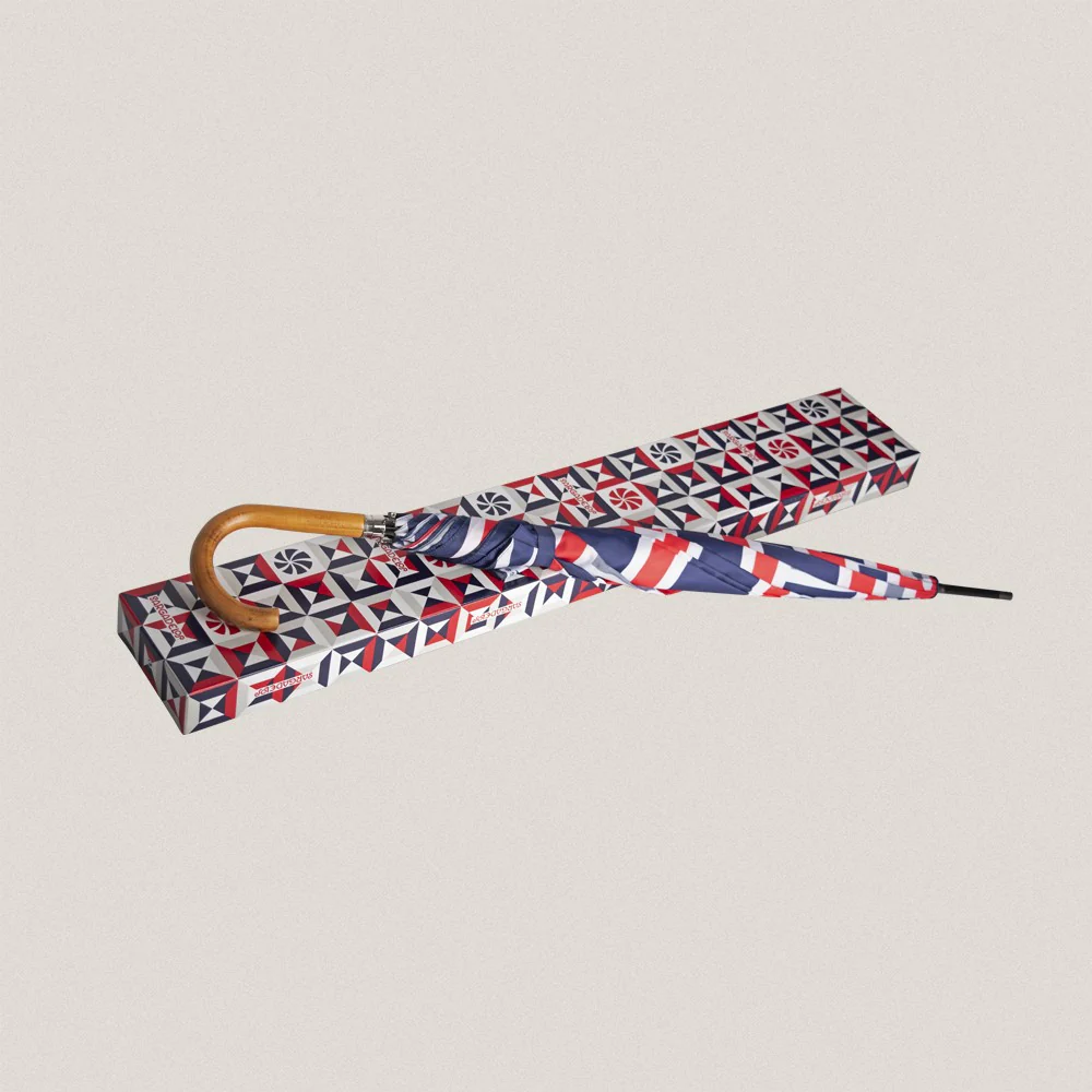 Umbrella Voluta - Image 2