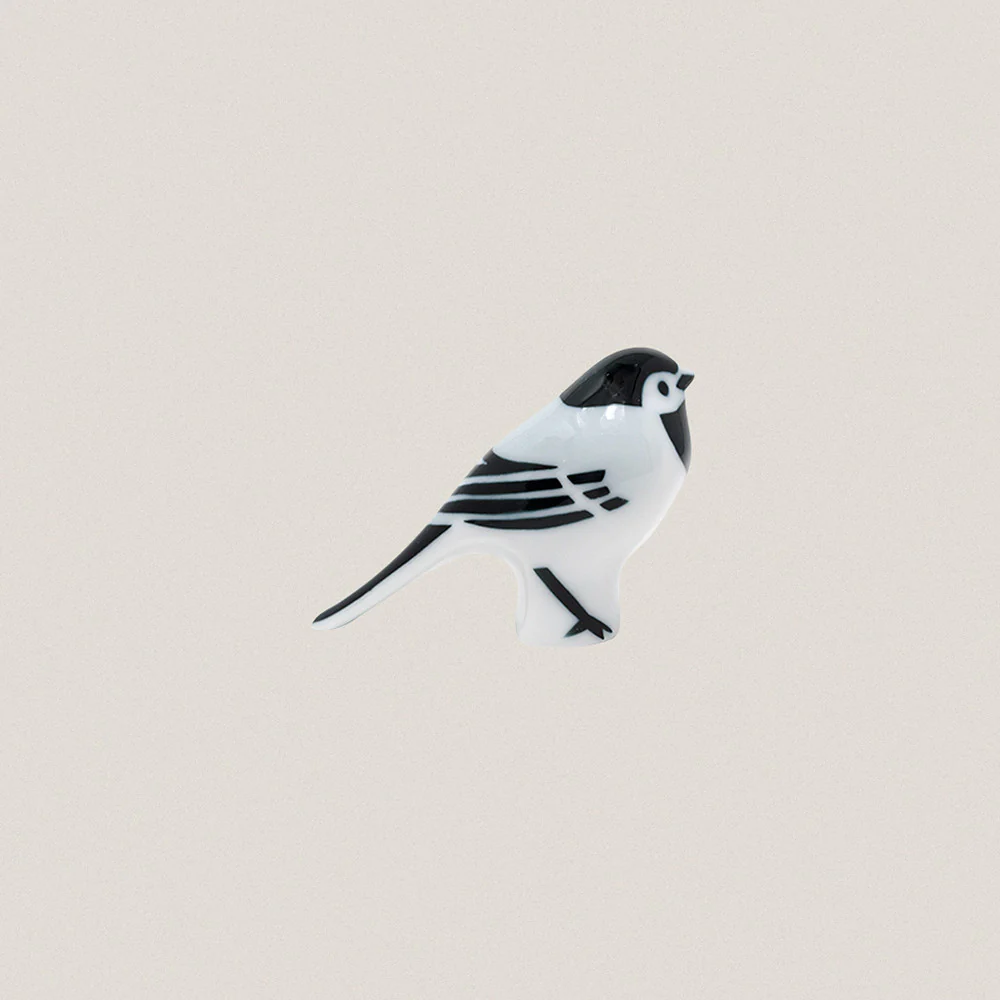 White Wagtail
