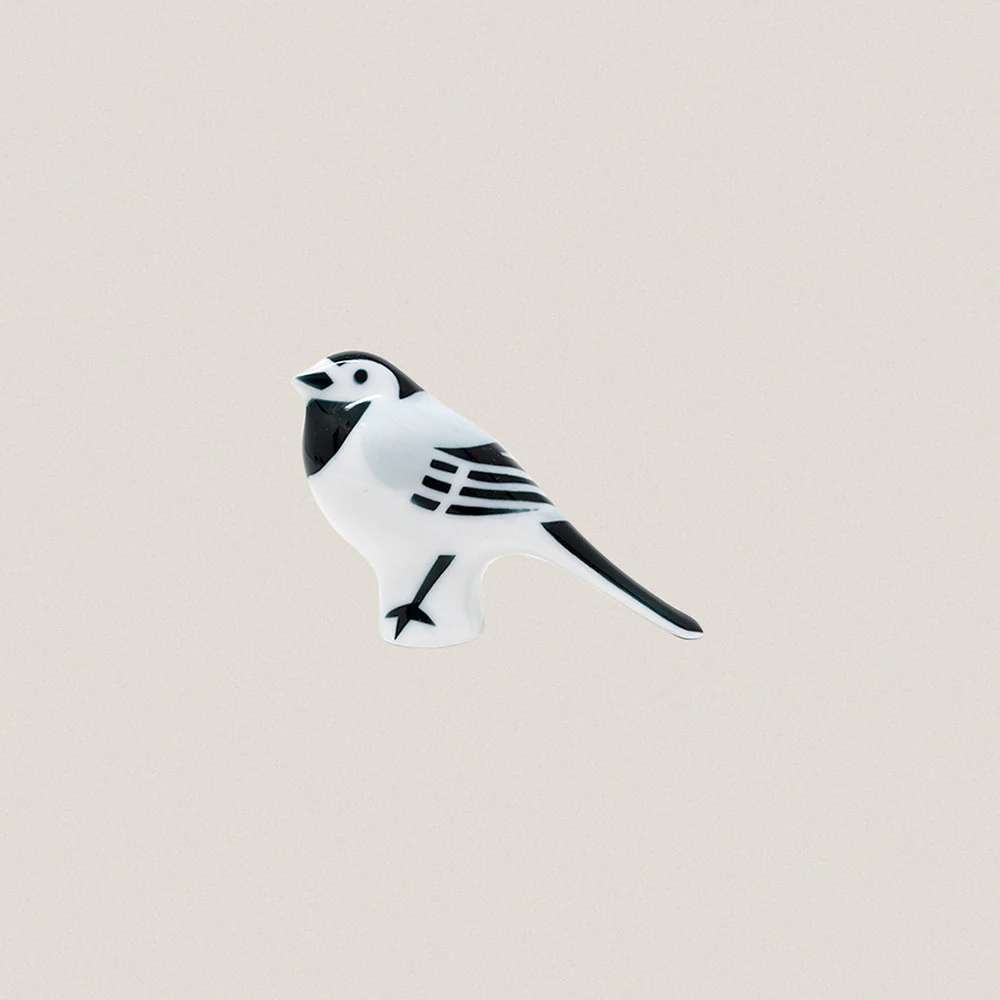White Wagtail - Image 4