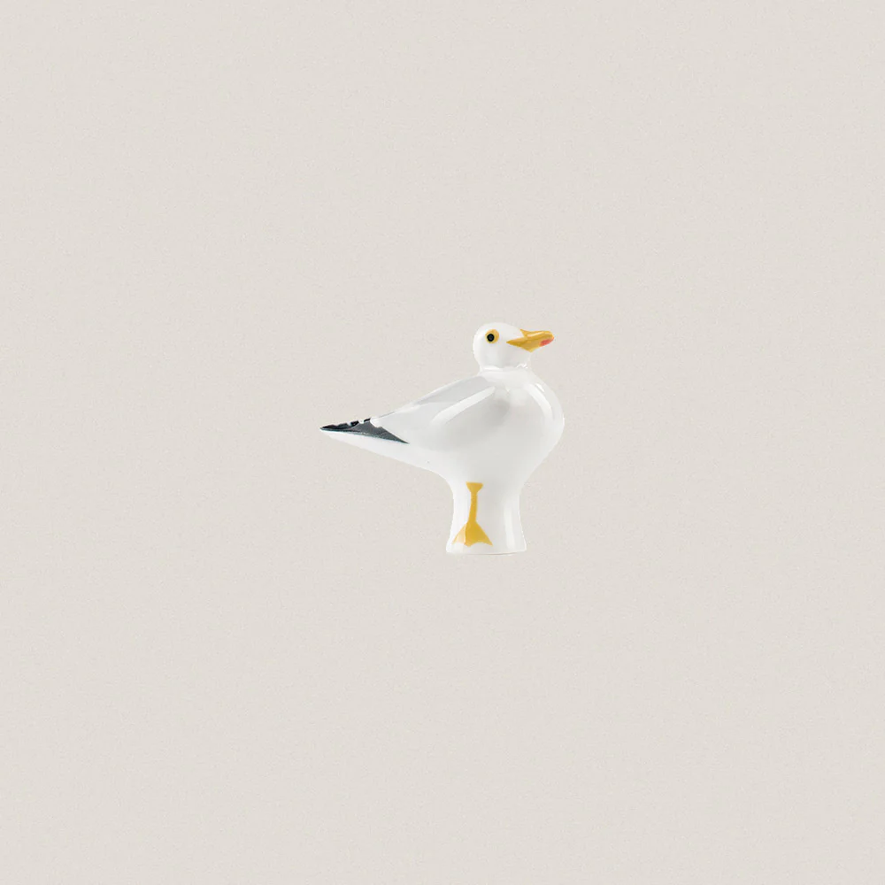 Yellow-legged Gull
